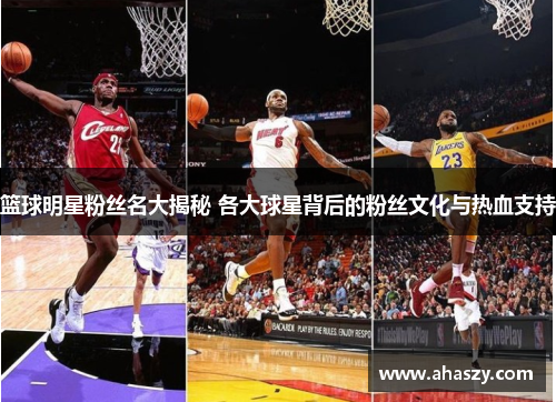 篮球明星粉丝名大揭秘 各大球星背后的粉丝文化与热血支持